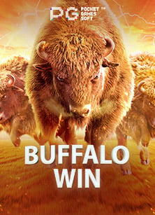 เล่น การ พนัน ออนไลน์ ผิด กฎหมาย ไหม? มาดูกัน